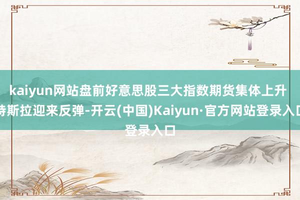 kaiyun网站盘前好意思股三大指数期货集体上升 特斯拉迎来反弹-开云(中国)Kaiyun·官方网站登录入口