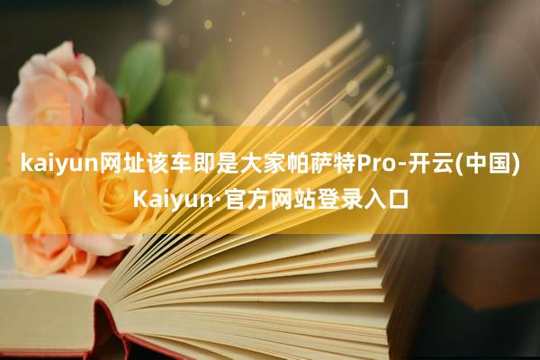 kaiyun网址该车即是大家帕萨特Pro-开云(中国)Kaiyun·官方网站登录入口